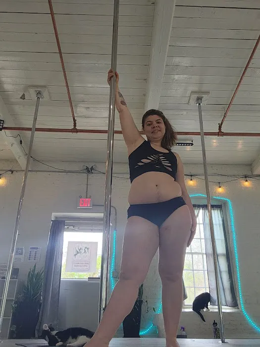Aerial Arts Fitness Picture 9
