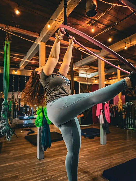Aerial Arts Fitness Picture 10
