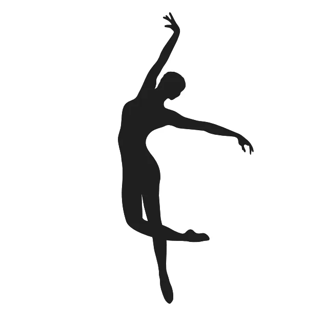 The Academy at Newport Contemporary Ballet Picture 8
