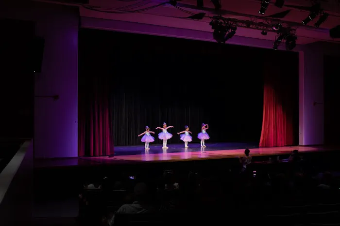 Distinctive Dance Etc. Picture 8