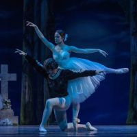 Ballet Theatre of Maryland ico
