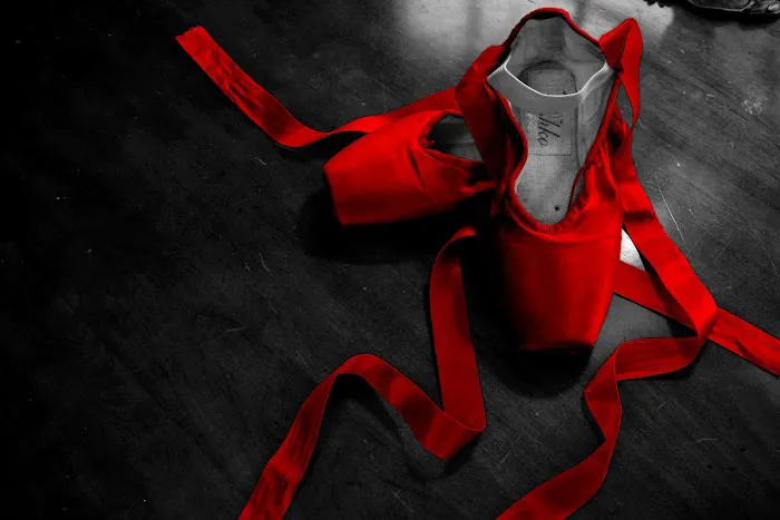 The Ballet Slipper Picture 2