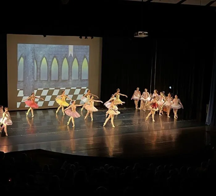 The Moving Company Dance Center Picture 3