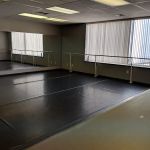 Anna Apicella School of Dance