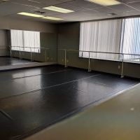 Anna Apicella School of Dance ico