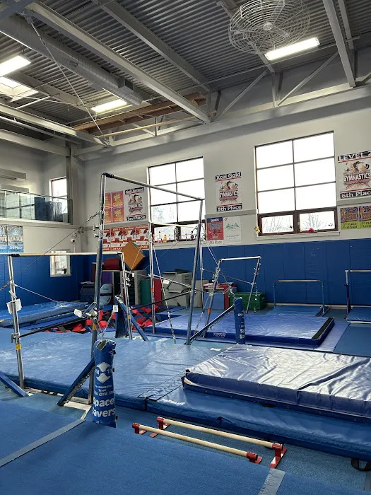 Tumbling Tigers Gymnastics Picture 1