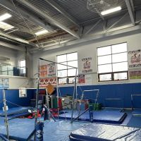 Tumbling Tigers Gymnastics ico