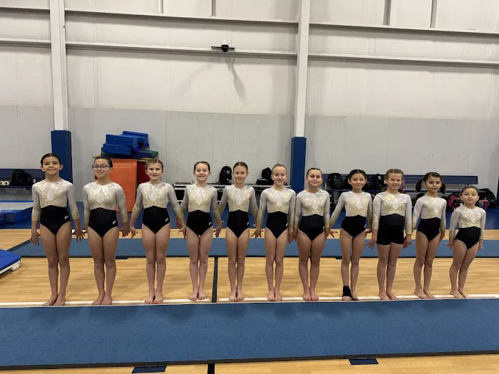 Tumbling Tigers Gymnastics Picture 6