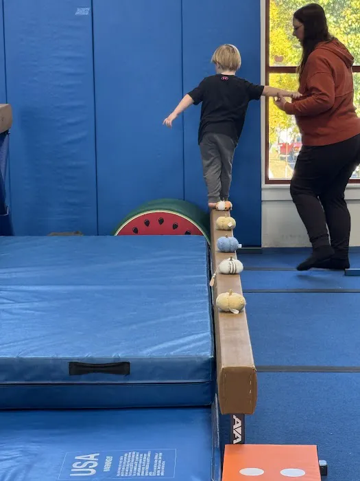 Tumbling Tigers Gymnastics Picture 5