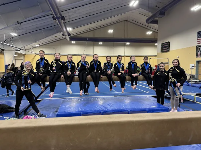 Tumbling Tigers Gymnastics Picture 4