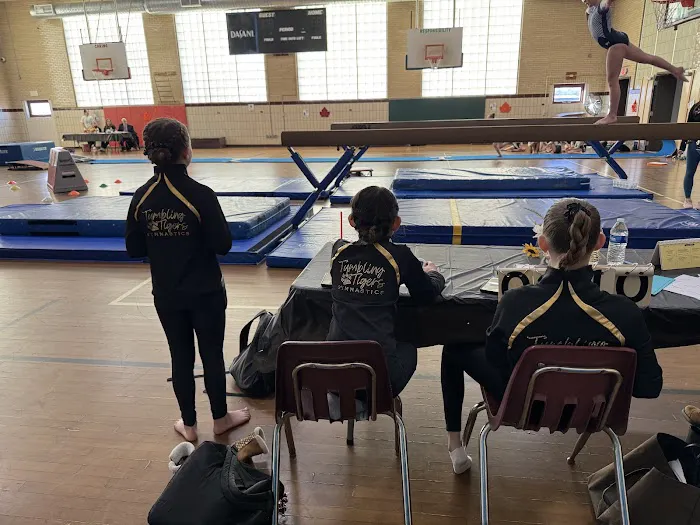 Tumbling Tigers Gymnastics Picture 8