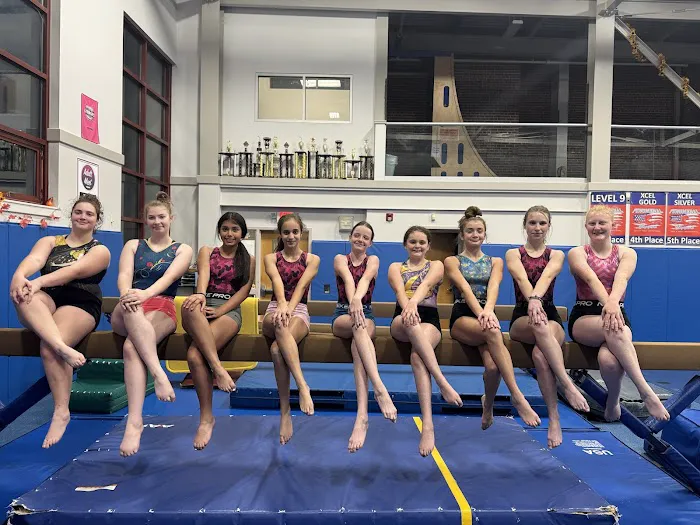 Tumbling Tigers Gymnastics Picture 9