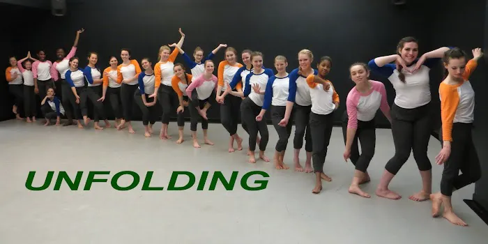 Figments Youth Dance Ensemble Picture 2