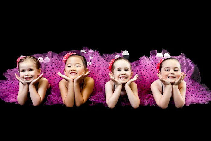 The Dance Academy Picture 3