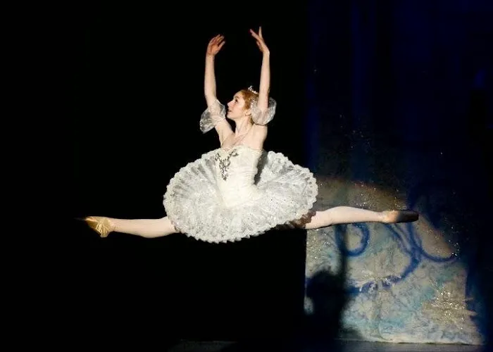 The Dance Academy Picture 6