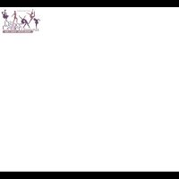 Dance Center of Severna Park ico