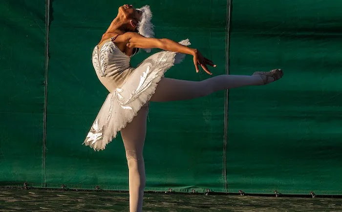 The Oh! Ballet Arts Academy Inc Picture 2