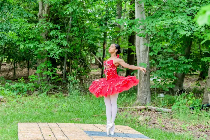 The Oh! Ballet Arts Academy Inc Picture 3