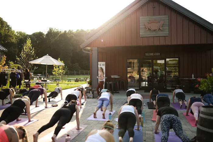 Barre Forward - Barre Studio in Annapolis/Severna Park area Picture 6