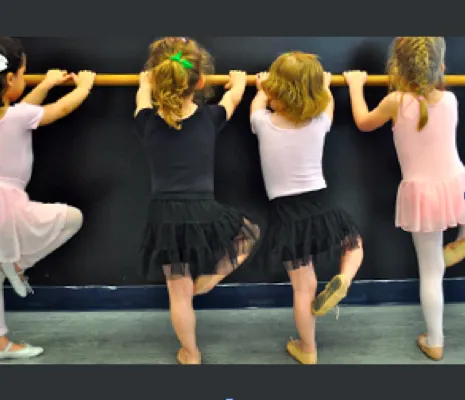 Dancer's Dreams Inc Picture 6