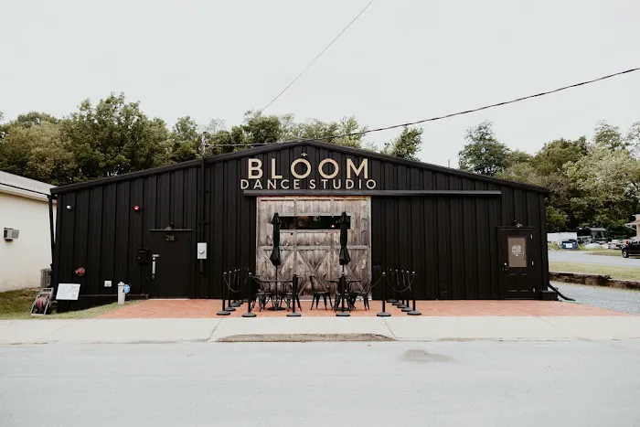 Bloom Dance Studio Picture 1