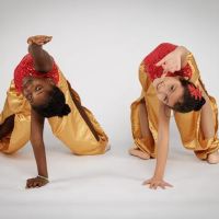 Elixir School of Dance ico