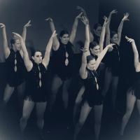 Dance Academy of State College ico
