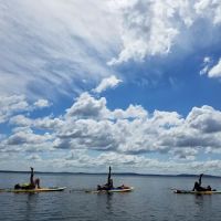 BeachBee Yoga, Dance, and SUP ico