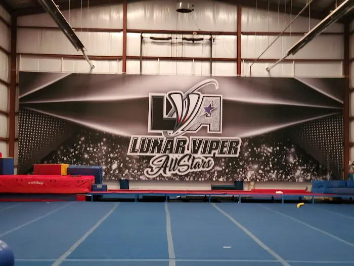 Lunar Viper Allstars Picture 3