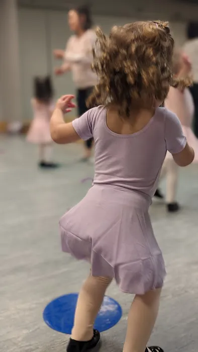 Arts 'n Motion LLC Picture 3