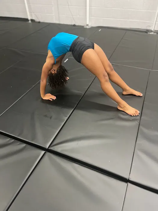 Dancing For His Glory Studio & Company Picture 2
