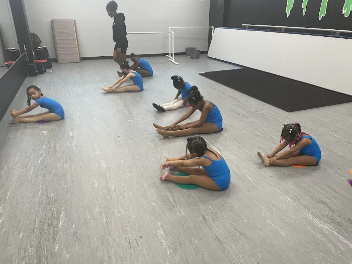 Shay Fierce Dance Academy Picture 8