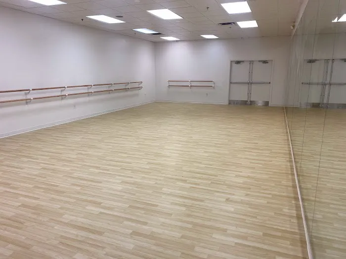 Performing Arts Preparatory School Picture 10