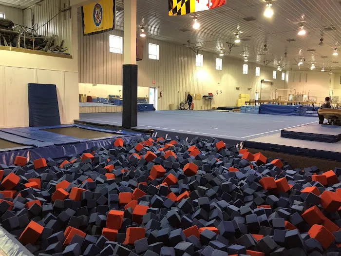 Elite Gymnastics & Recreation Center Picture 3