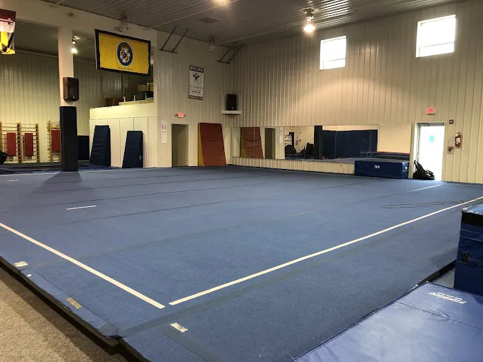 Elite Gymnastics & Recreation Center Picture 4
