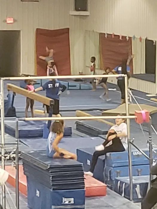 Elite Gymnastics & Recreation Center Picture 7
