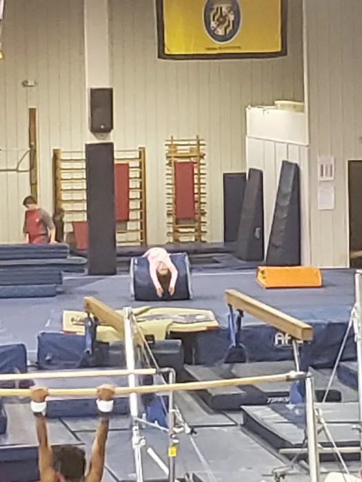 Elite Gymnastics & Recreation Center Picture 8
