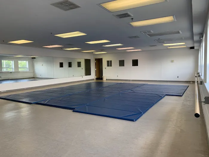 Elite Gymnastics & Recreation Center Picture 6