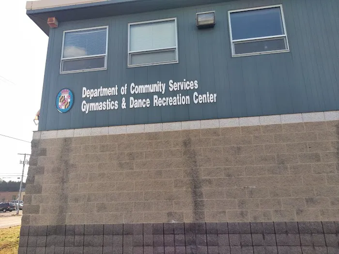 Elite Gymnastics & Recreation Center Picture 9