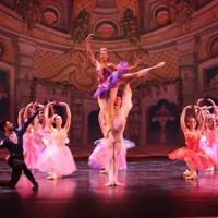 Metropolitan Ballet Theatre ico
