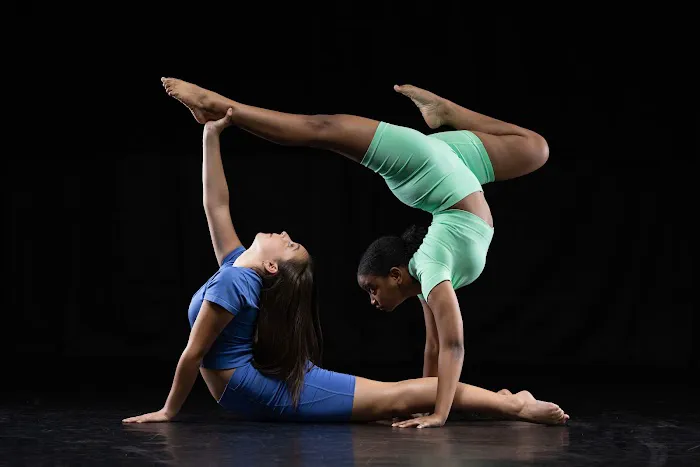 DL Dance Project Picture 1