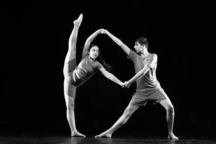 DL Dance Project Picture 9