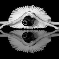 MindBodyArt School of Dance ico