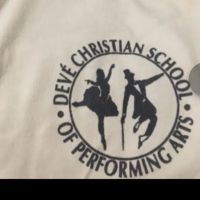 Deve's Christian School of Performing Arts ico