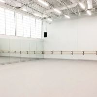 MoCo Arts ico