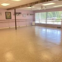 Alicia's Dance Studio ico