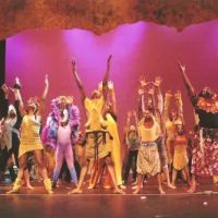 Northeast Performing Arts Group ico