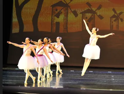 Ballet Academy Picture 1