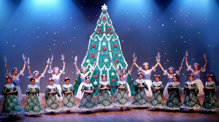 Ballet Academy Picture 6