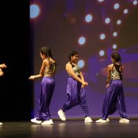 BEND IT LIKE BOLLYWOOD DANCE CO. ico